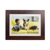 Brookstone PhotoShare Frame